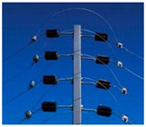 Cercas Elétricas em Alagoinhas