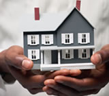 Consórcios em Alagoinhas