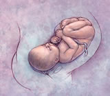 Obstetras e Obstetrícia em Alagoinhas
