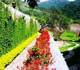 Paisagismo em Alagoinhas