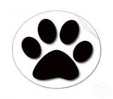 Pet Shops em Alagoinhas