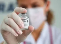 vacinação contra covid-19