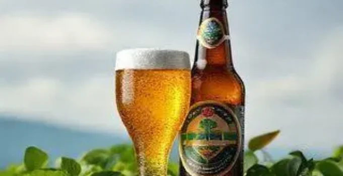 inovação em bebidas e sustentabilidade