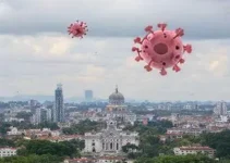 Plano de Contingência das Arboviroses