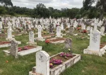 manutenção cemitérios Alagoinhas