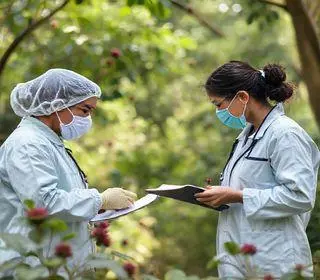 agentes comunitários de saúde