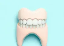 Alagoinhas é contemplada com odontomóvel do Novo PAC Saúde