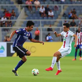 arbitragem de Roraima