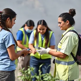 Rede de Proteção às Mulheres