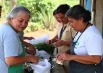 programa Peixe no Prato