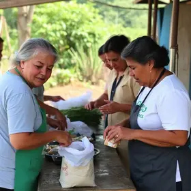 programa Peixe no Prato