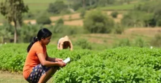 capacitação CAR CEFIR acesso crédito rural