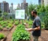 Formação em Agricultura Urbana