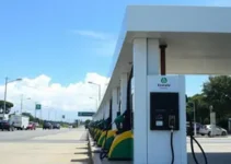 gasolina