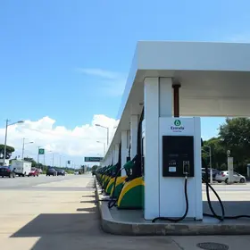 gasolina