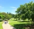 parques Passa Vaca e Mussurunga