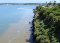 SAAE de Alagoinhas