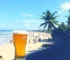 Bahia Beer 2026